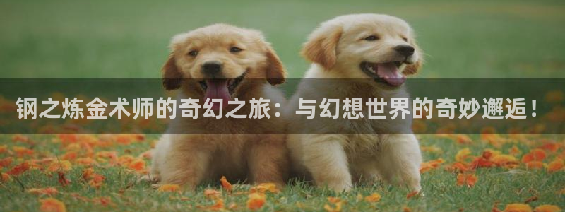 我独自升级漫画包子漫画：钢之炼金术师的奇幻之旅：与幻想世界的奇妙邂逅！