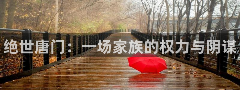 不健全关系包子漫画：绝世唐门：一场家族的权力与阴谋