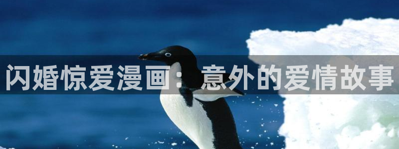 包子漫画app无广告版：闪婚惊爱漫画：意外的爱情故事