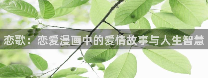 包子漫画有风险吗：恋歌：恋爱漫画中的爱情故事与人生智慧